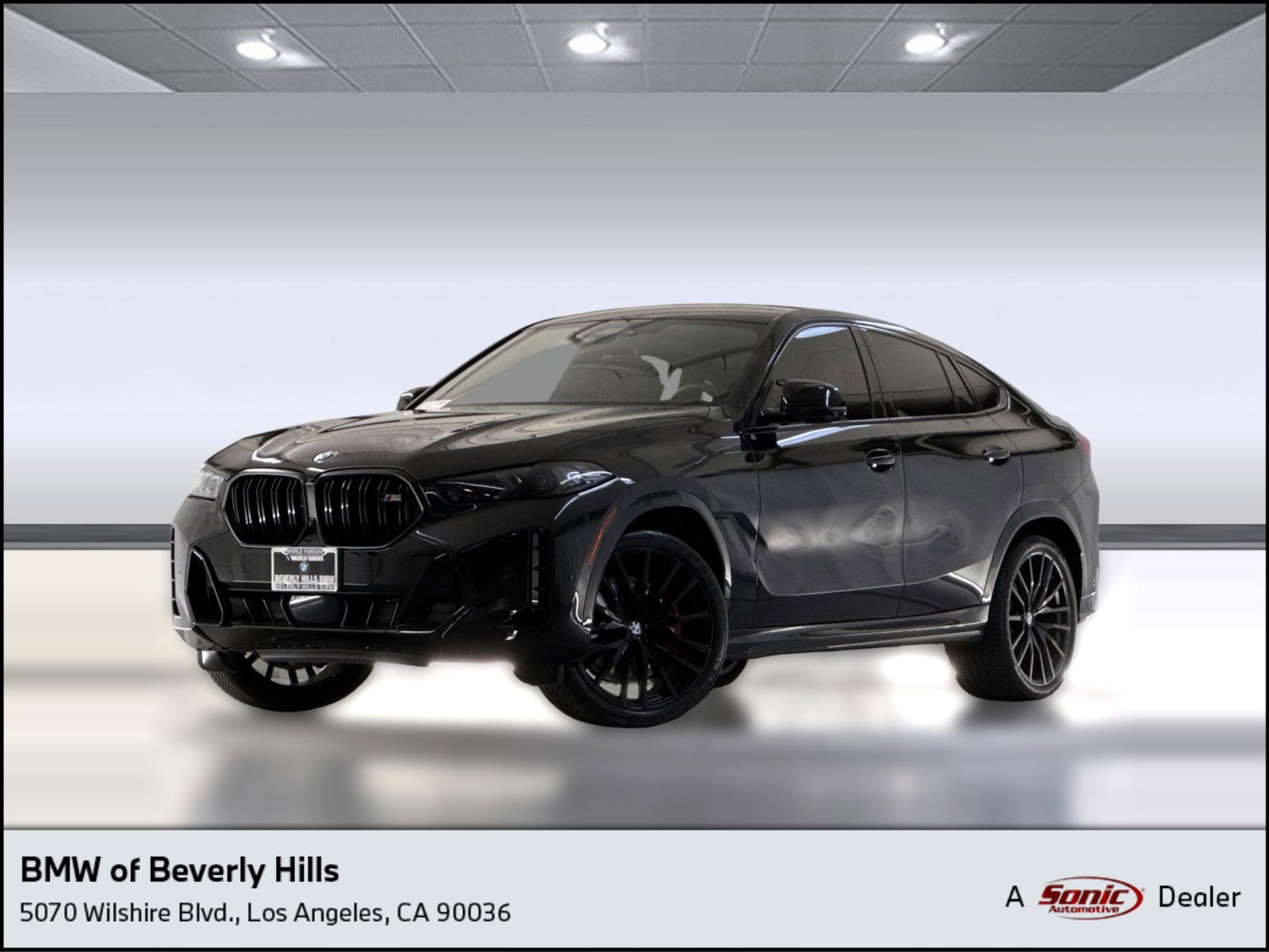 2024 BMW X6