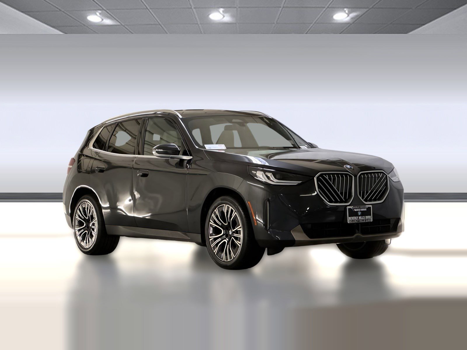 2025 BMW X3 30 xDrive photo 6