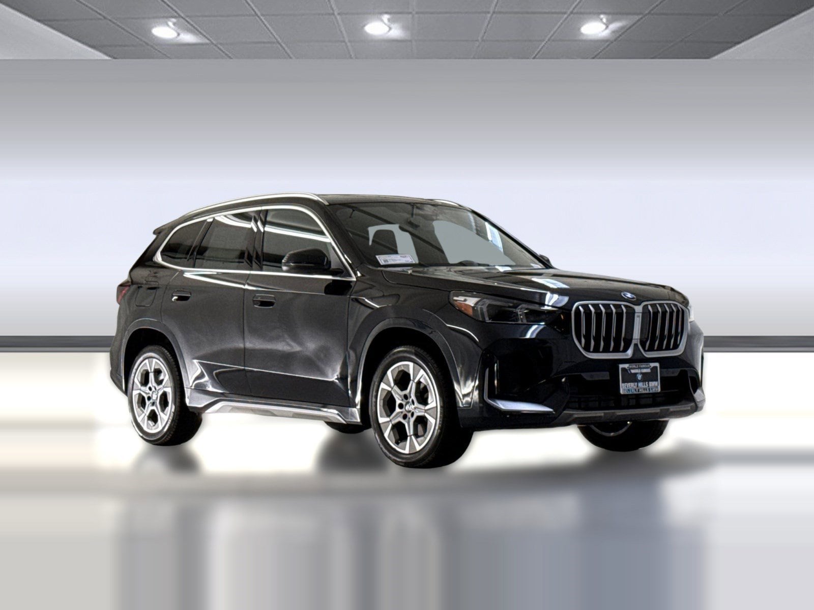 2025 BMW X1 xDrive28i photo 6