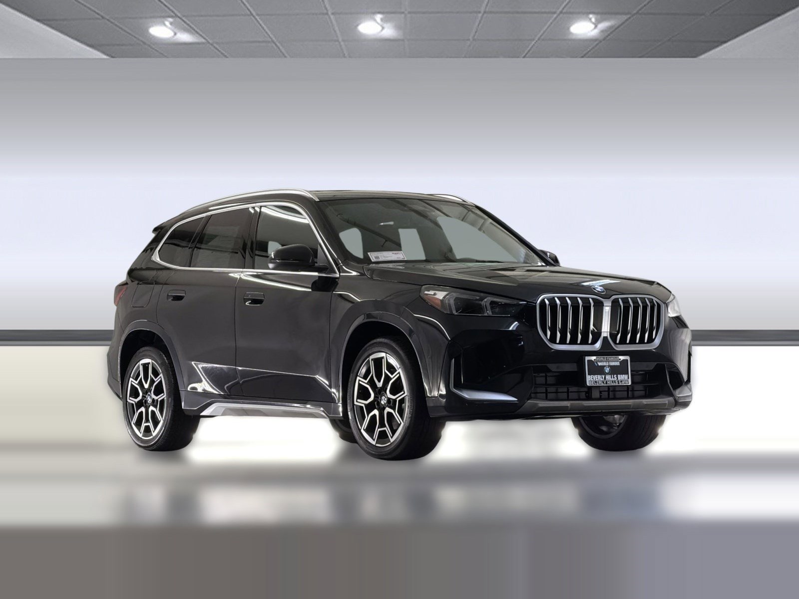 2025 BMW X1 xDrive28i photo 6