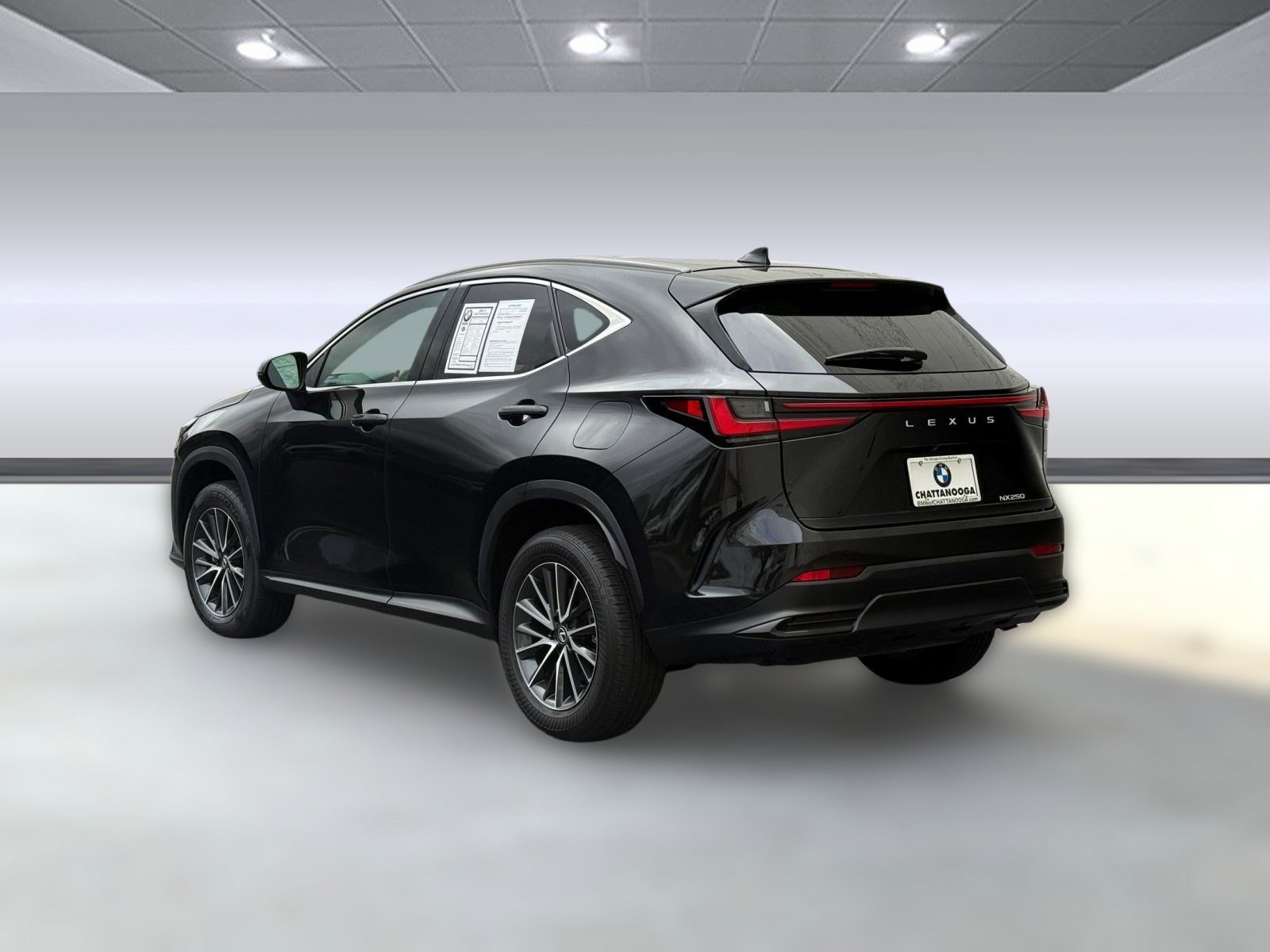 2024 Lexus NX 250 Premium photo 2