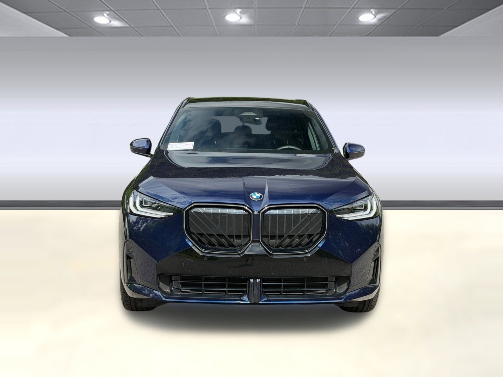 2025 BMW X3 30 - Photo 6