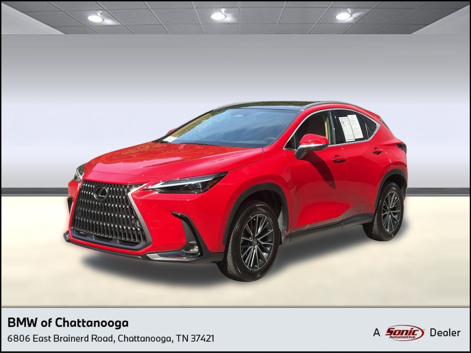 2024 Lexus NX 350h 350h Luxury AWD's photo