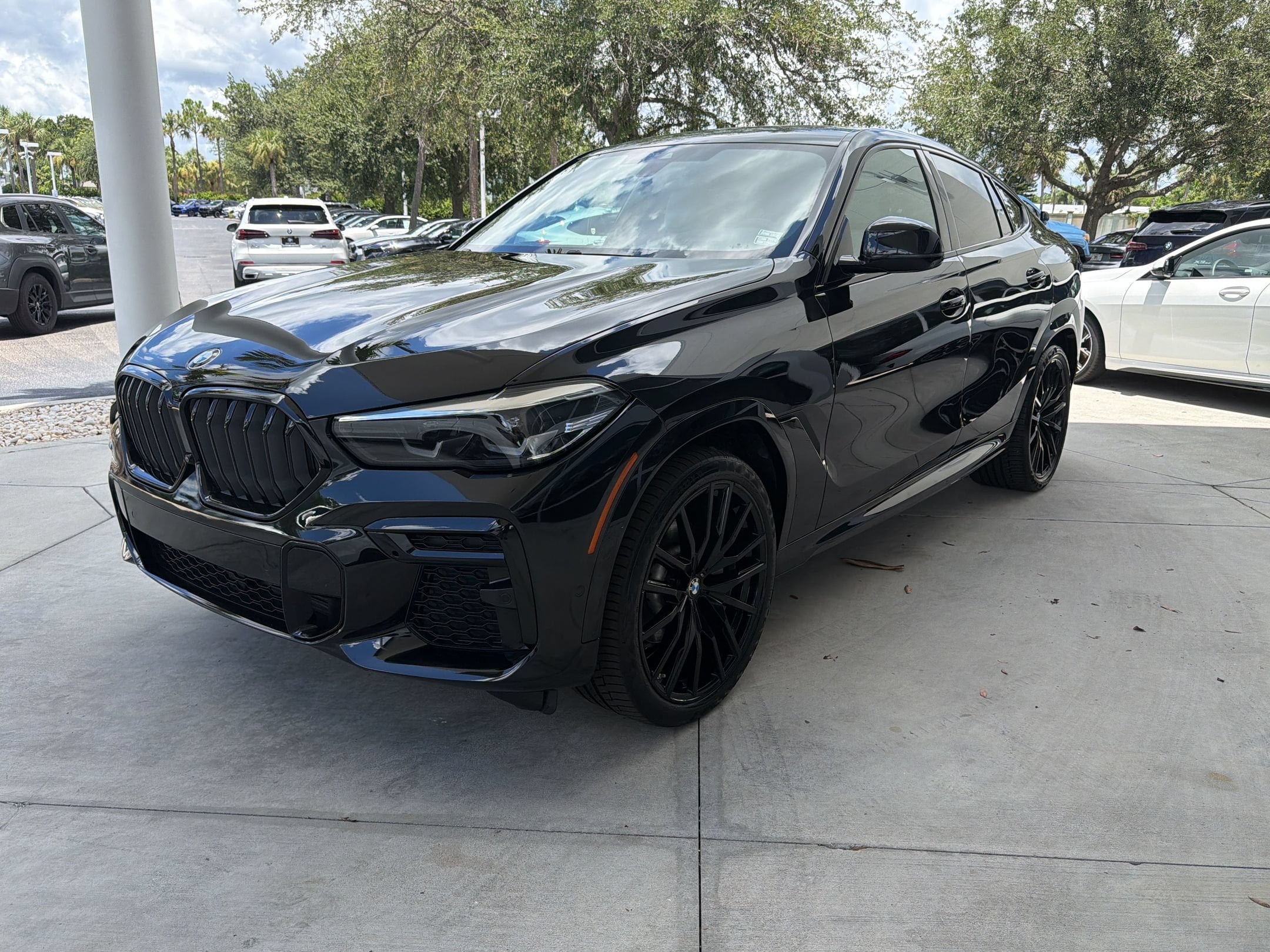 2023 BMW X6
