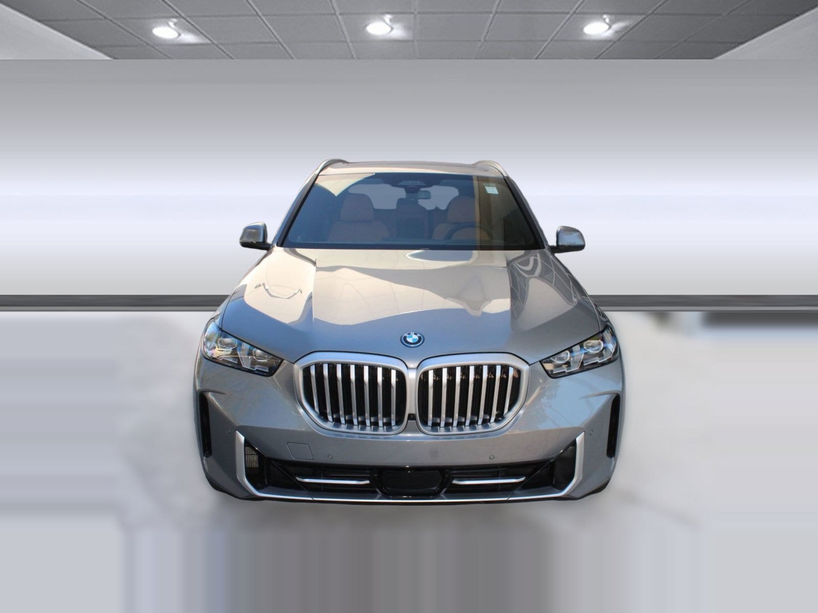 2026 BMW X5 50e - Photo 6