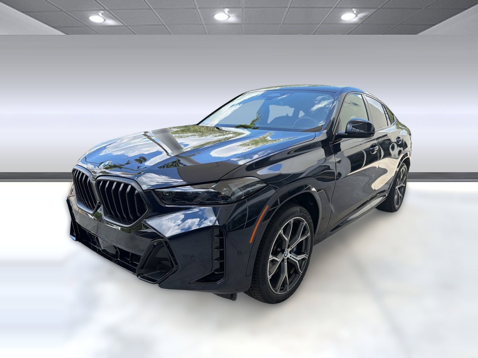 2025 BMW X6 xDrive40i's photo