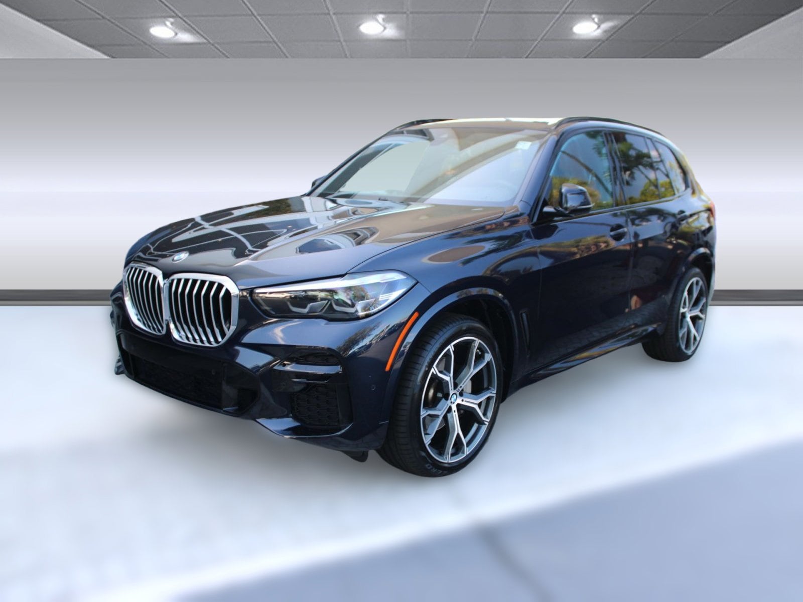 2023 BMW X5