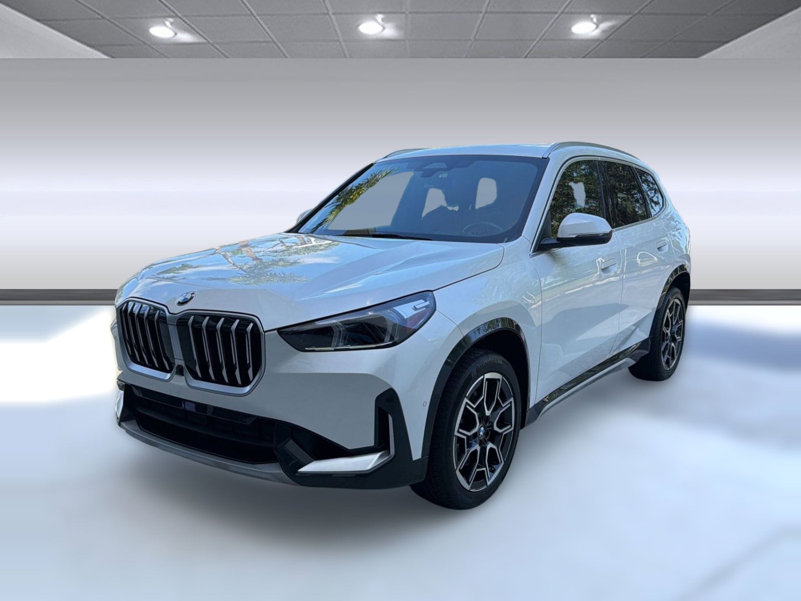 2025 BMW X1 xDrive28i's photo