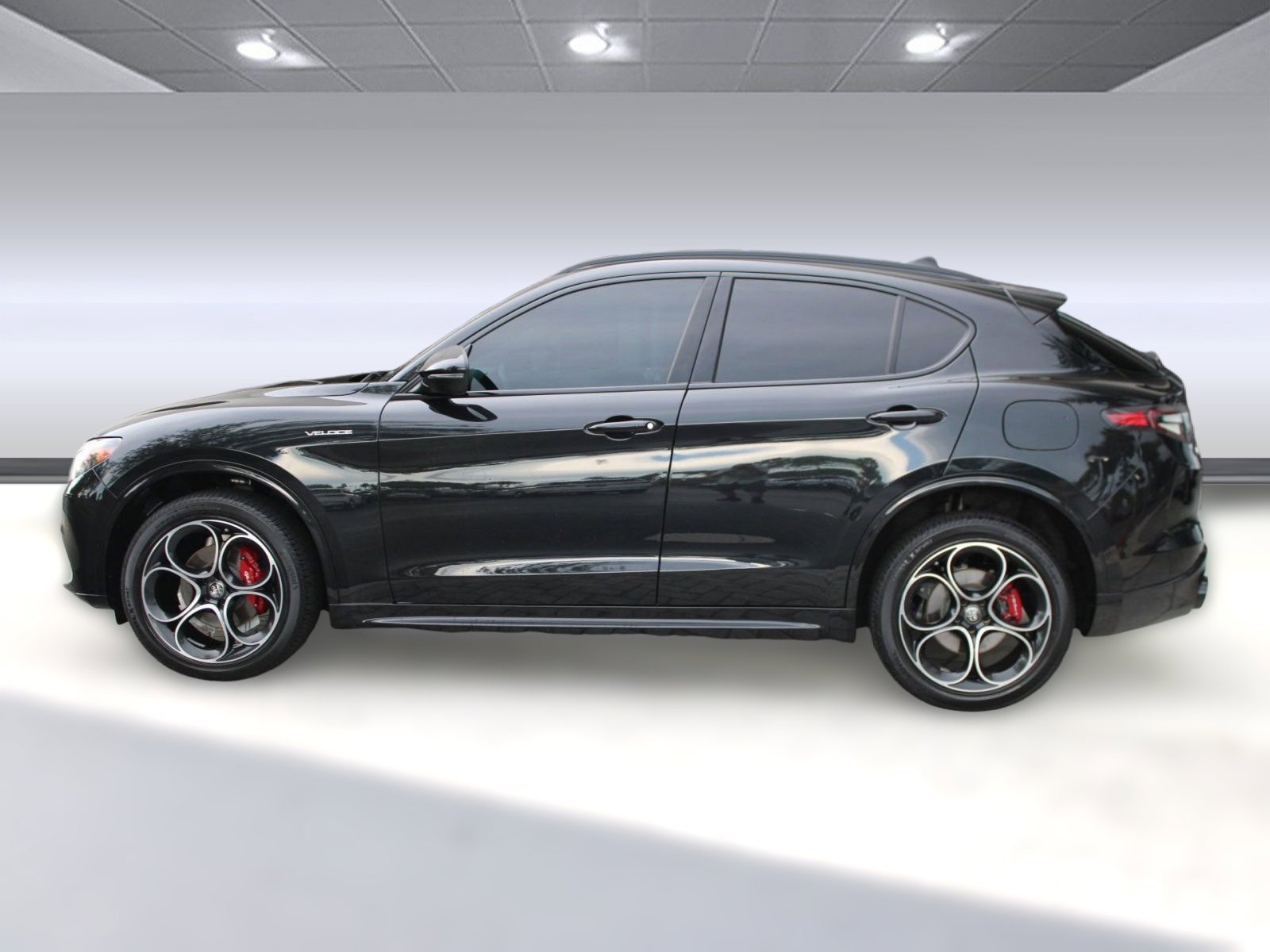 2024 Alfa Romeo Stelvio Tributo Italiano photo 2