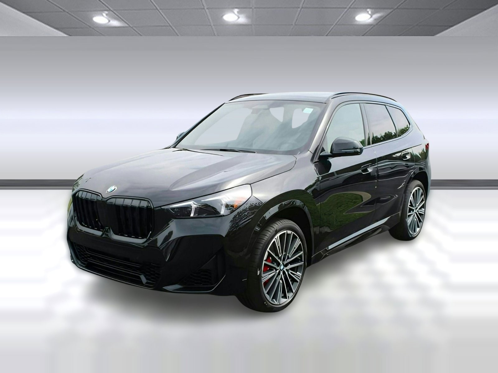 2025 BMW X1 xDrive28i's photo