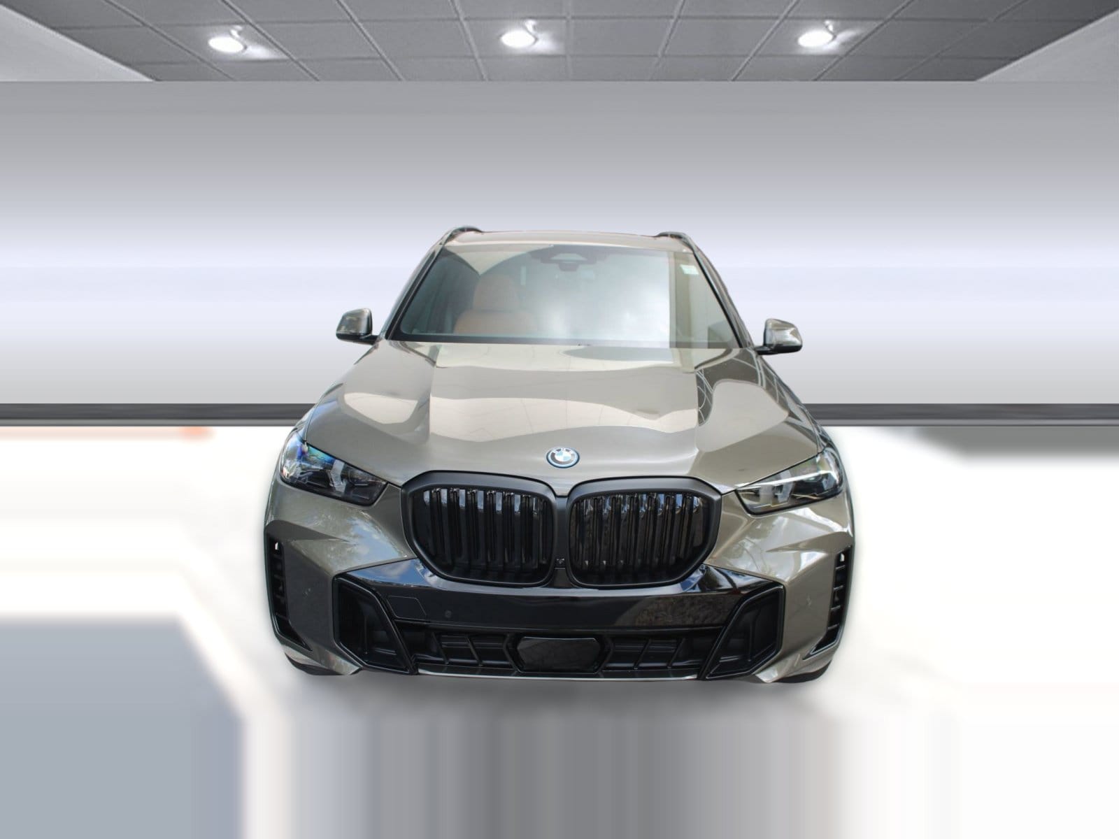 2026 BMW X5 50e - Photo 6