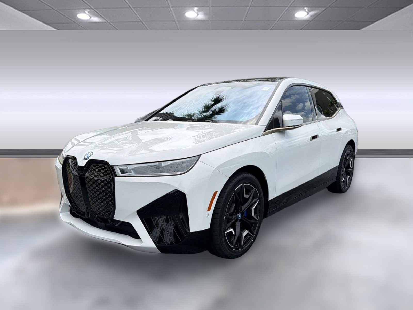 2023 BMW iX xDrive50's photo
