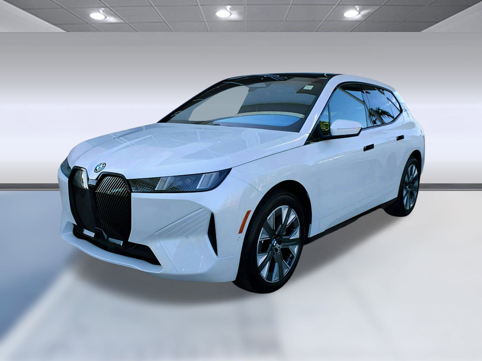 2026 BMW iX 60's photo