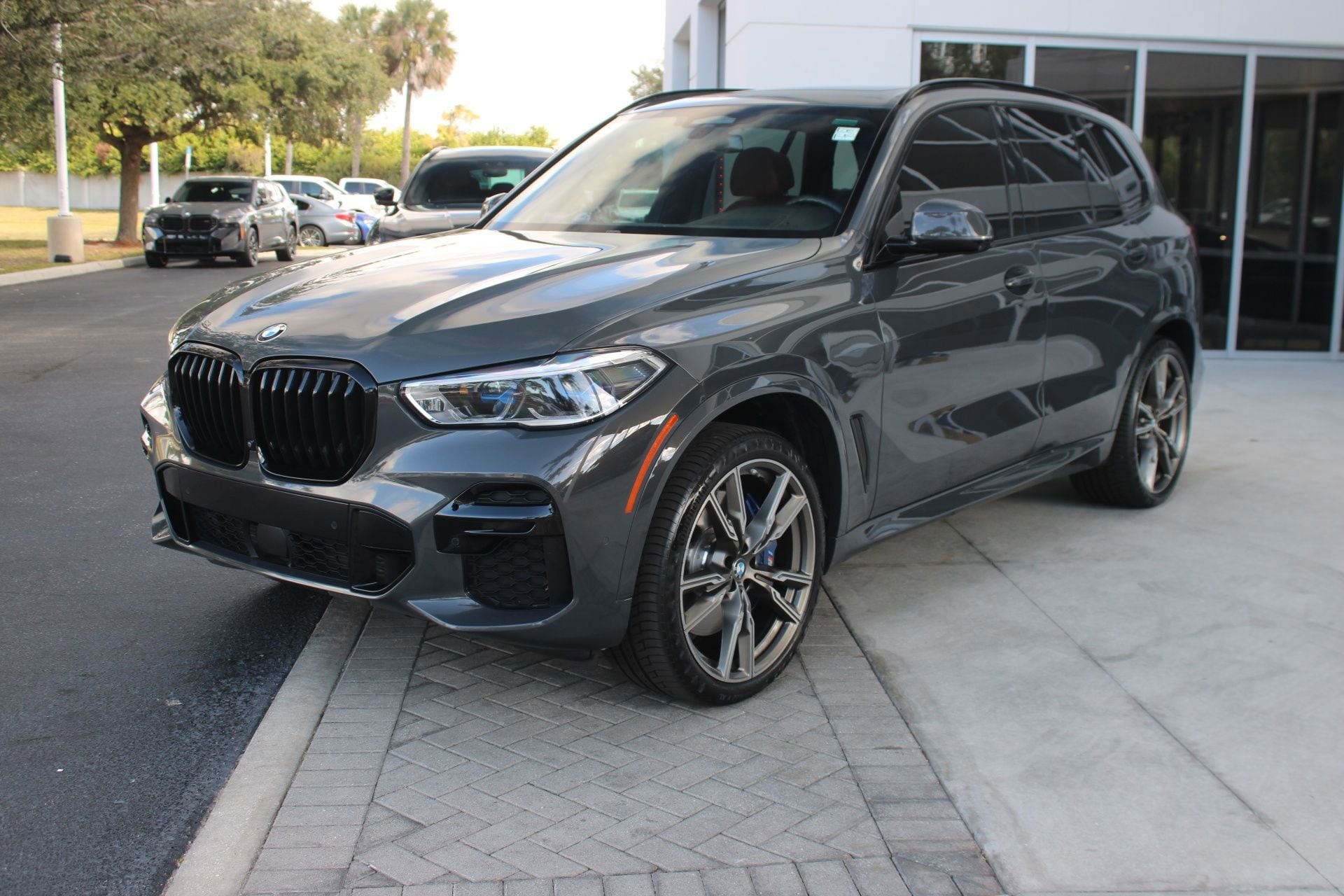 2022 BMW X5 M50i's photo