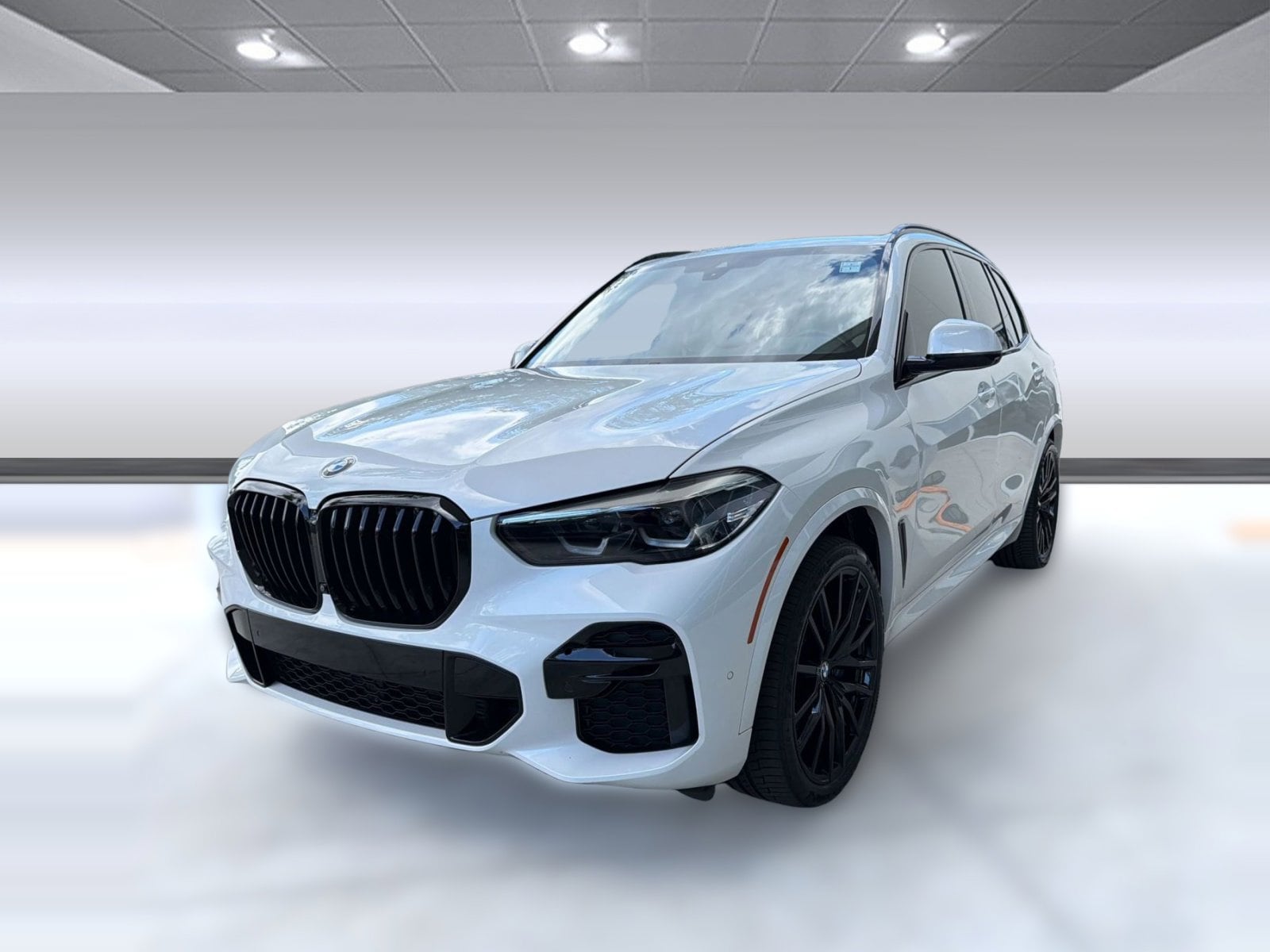 2022 BMW X5 sDrive40i's photo
