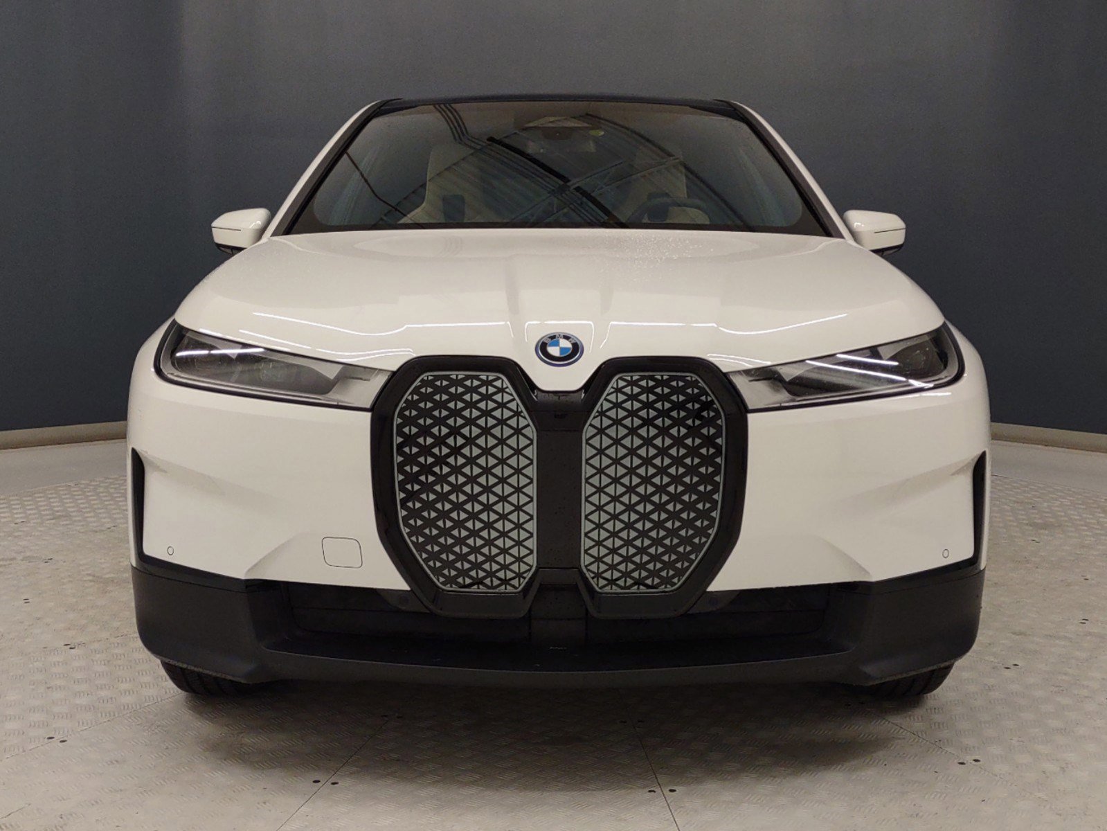 2023 Bmw iX photo 3