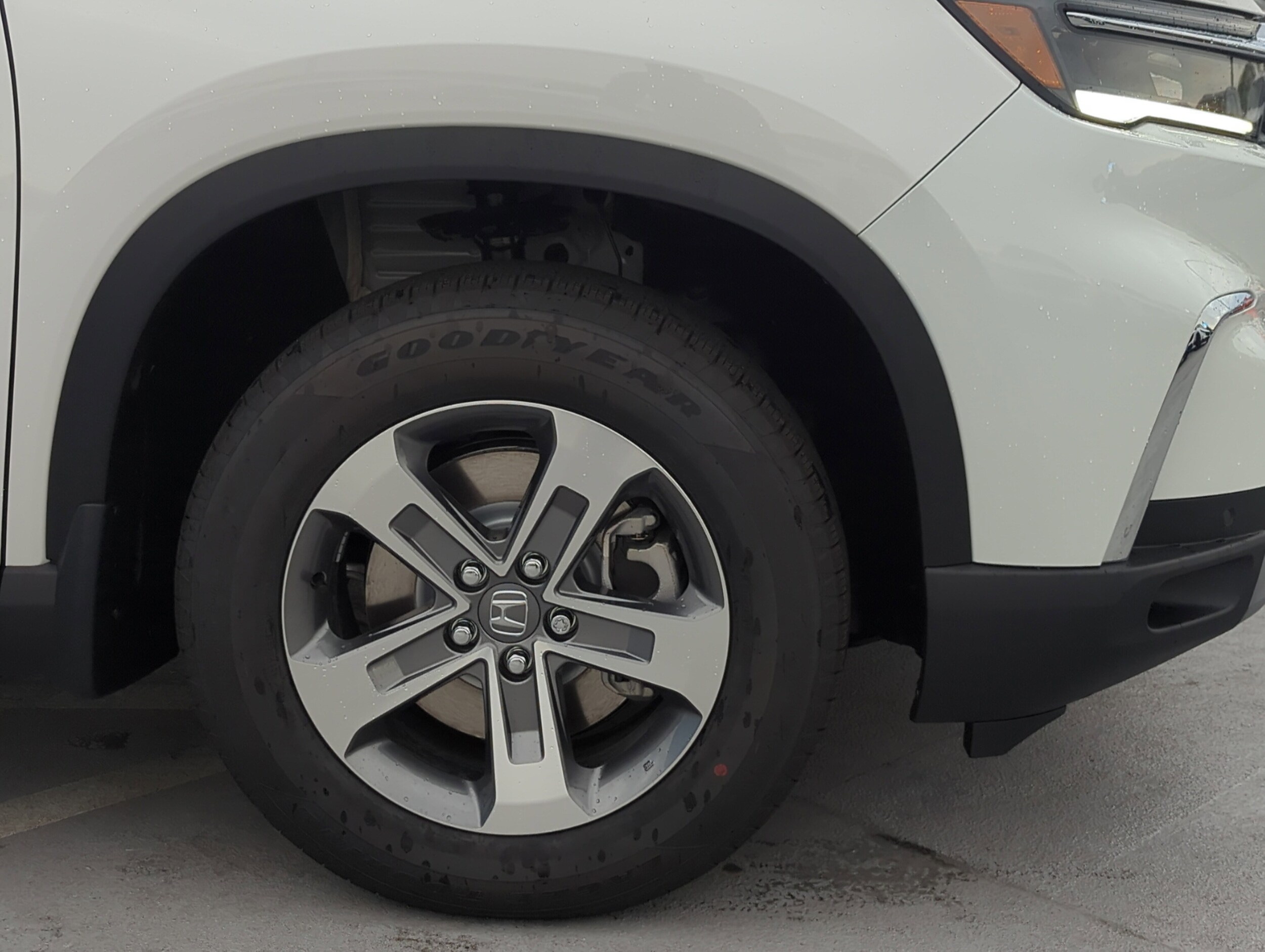 2025 Honda Pilot EX-L photo 3