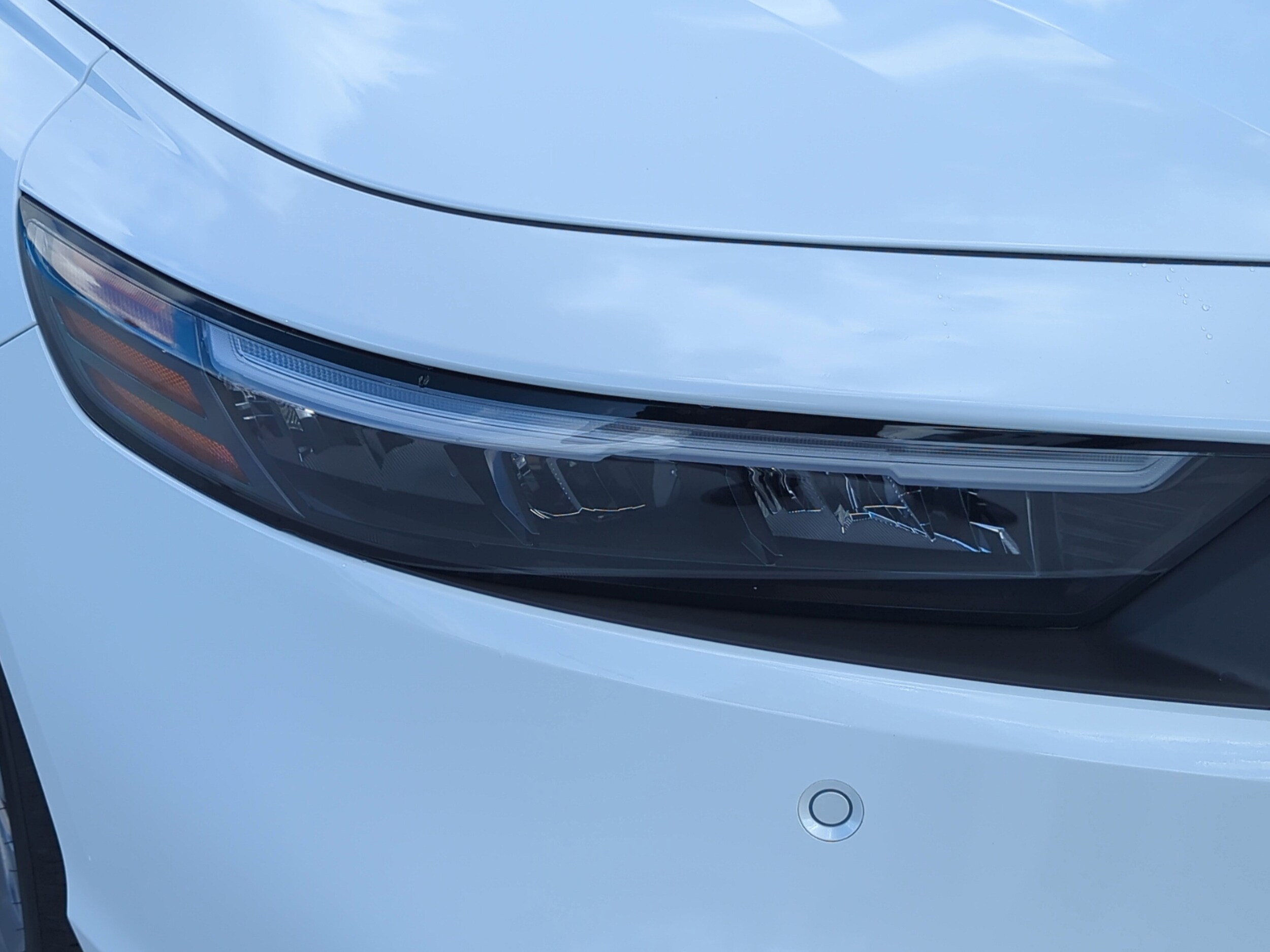 2025 Honda Accord EX-L photo 4