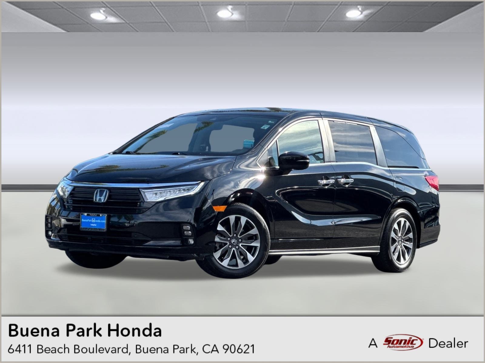 2023 Honda Odyssey EX-L's photo