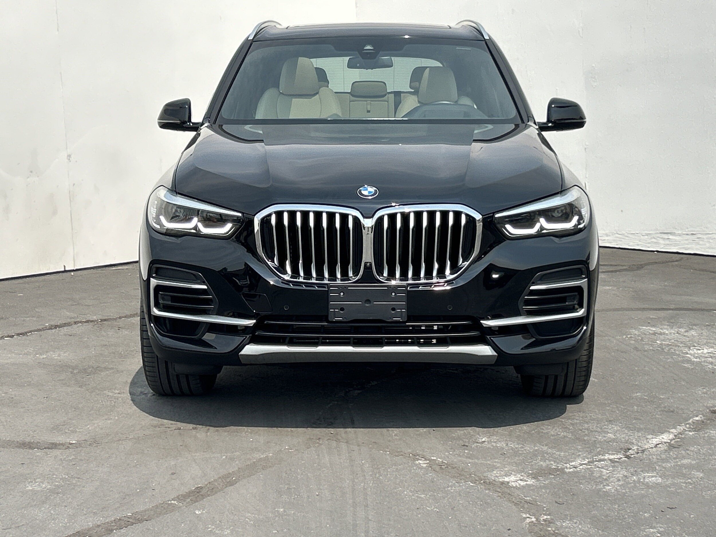 2022 Bmw X5 sDrive40i photo 3