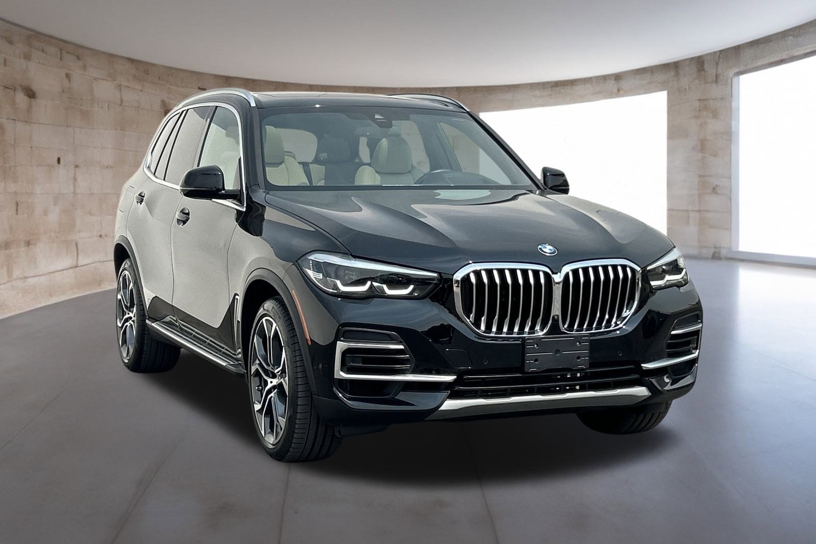 2022 Bmw X5 sDrive40i photo 2
