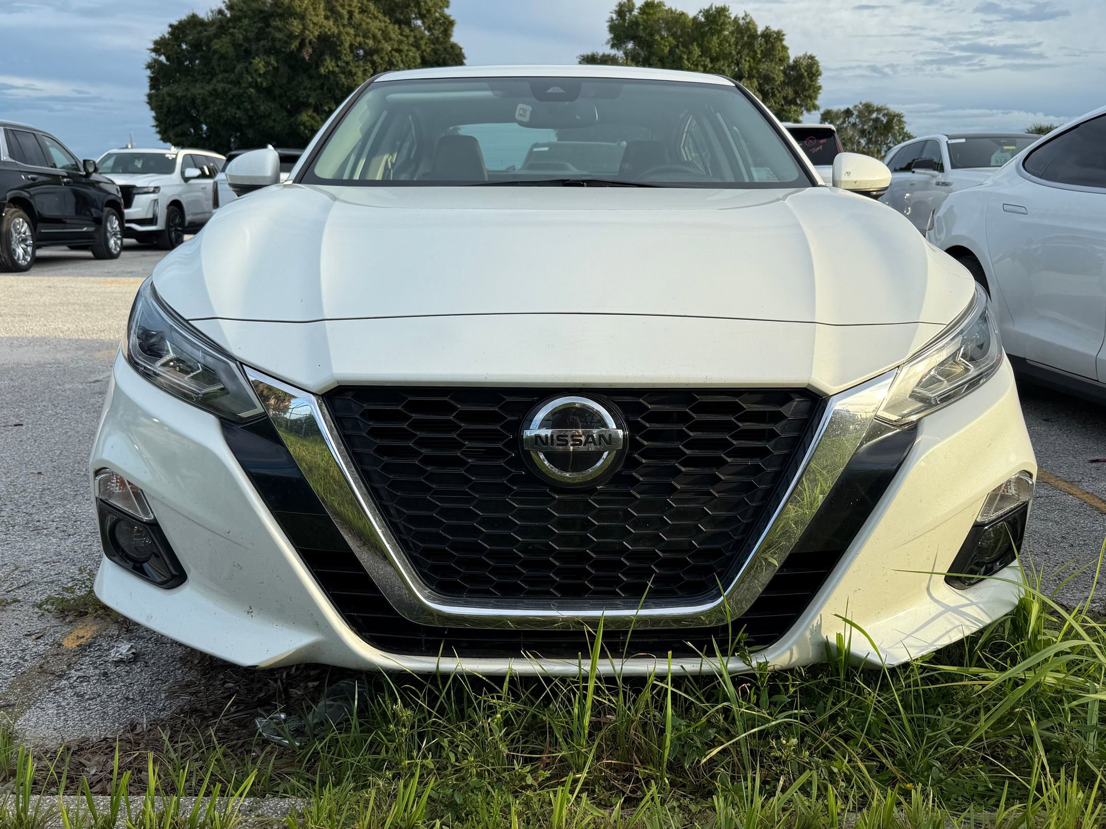 2020 Nissan Altima 2.5 Platinum photo 3