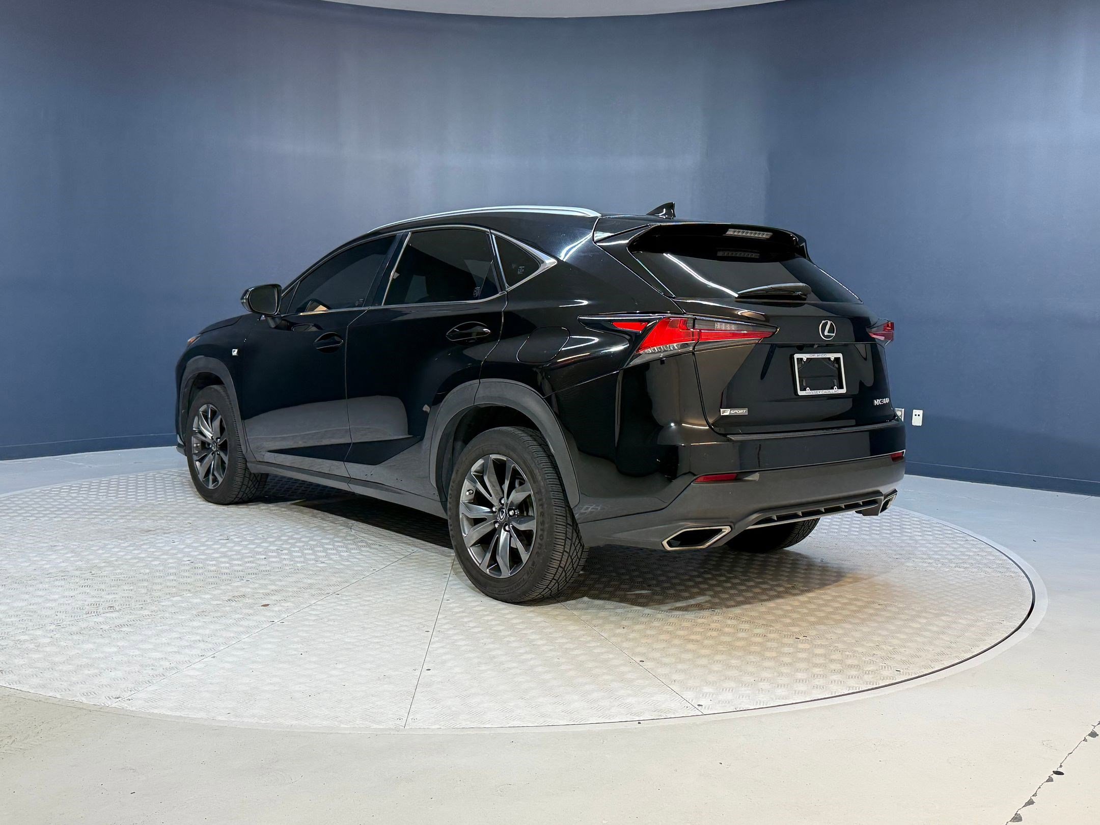 2019 Lexus NX 300 Luxury photo 3