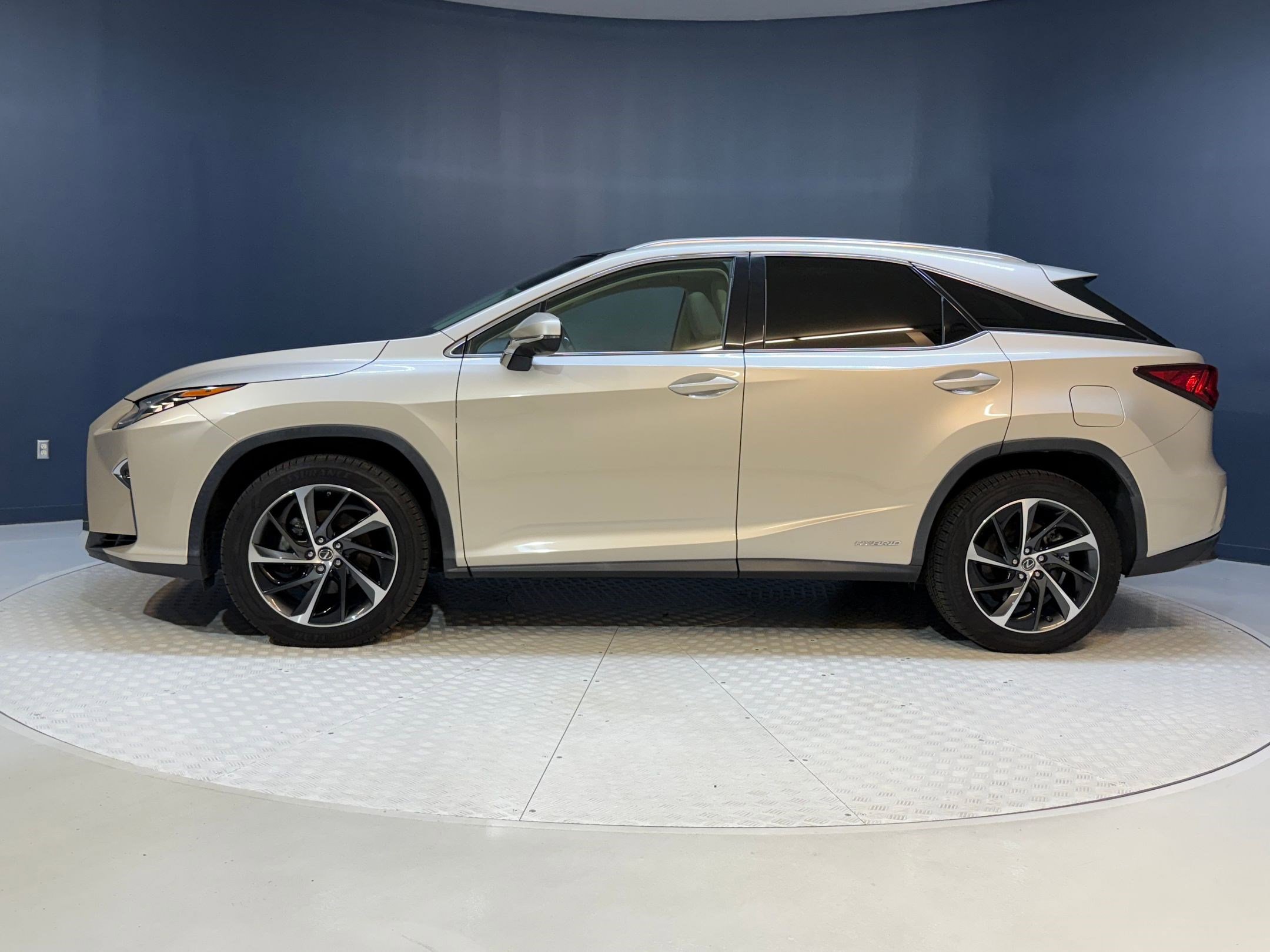 2019 Lexus RX 450h photo 2