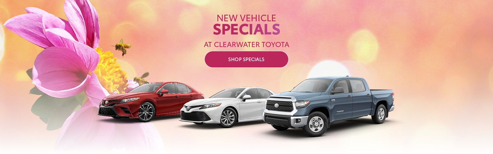 Clearwater Toyota New & Used Toyota Dealership