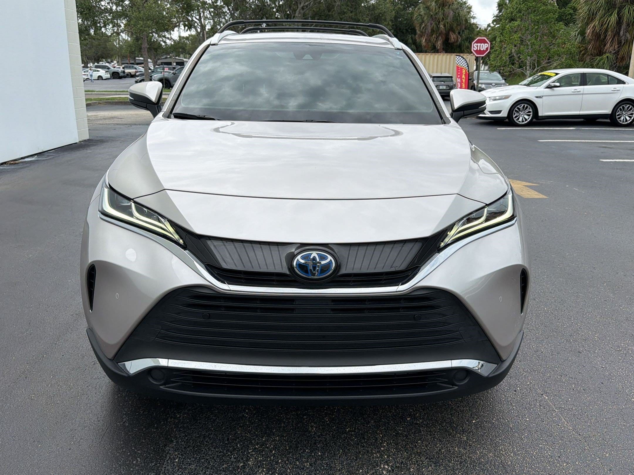 Venza Venza LE (LE AWD (Natl)) SUV