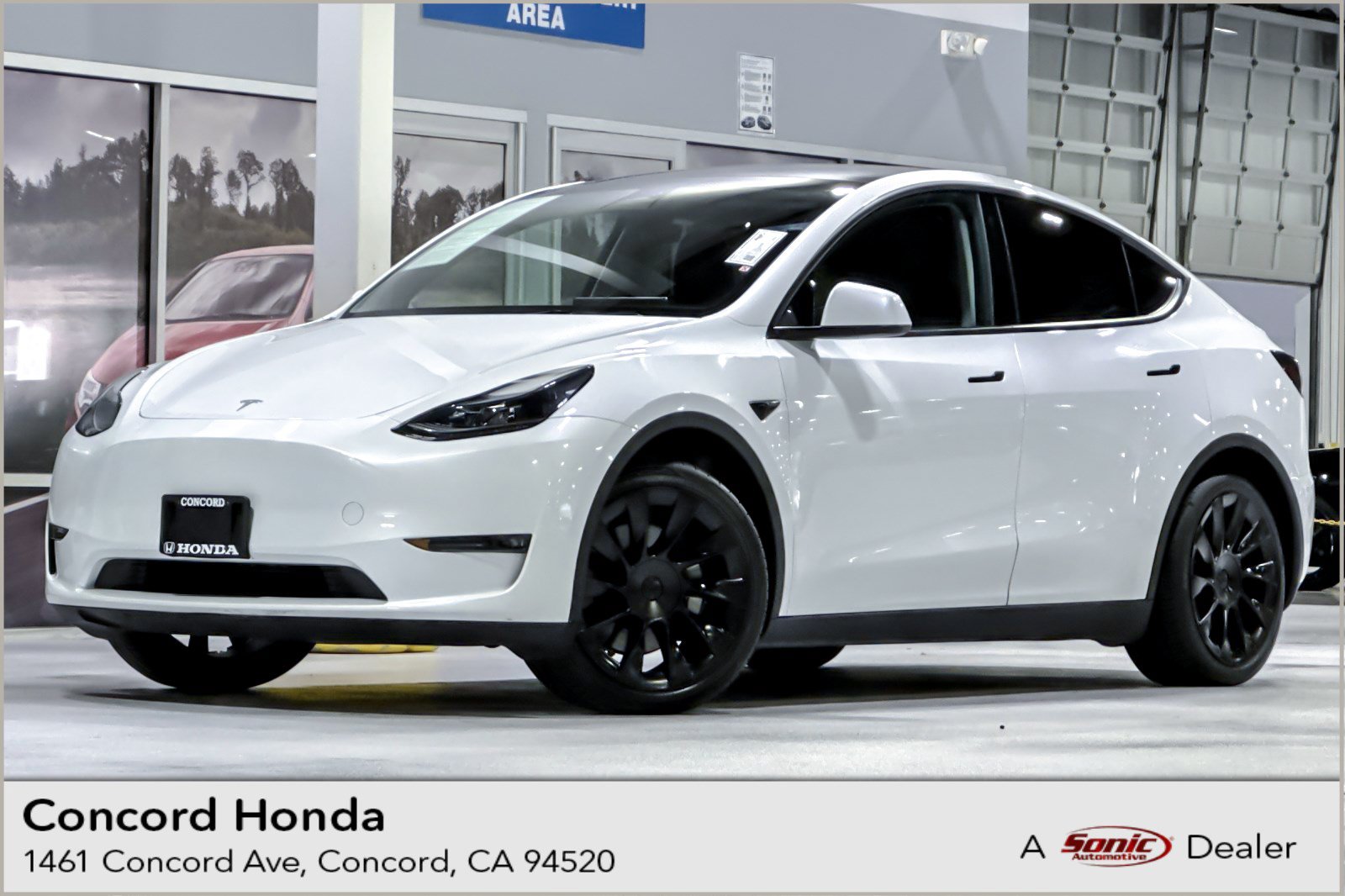 2023 Tesla Model Y