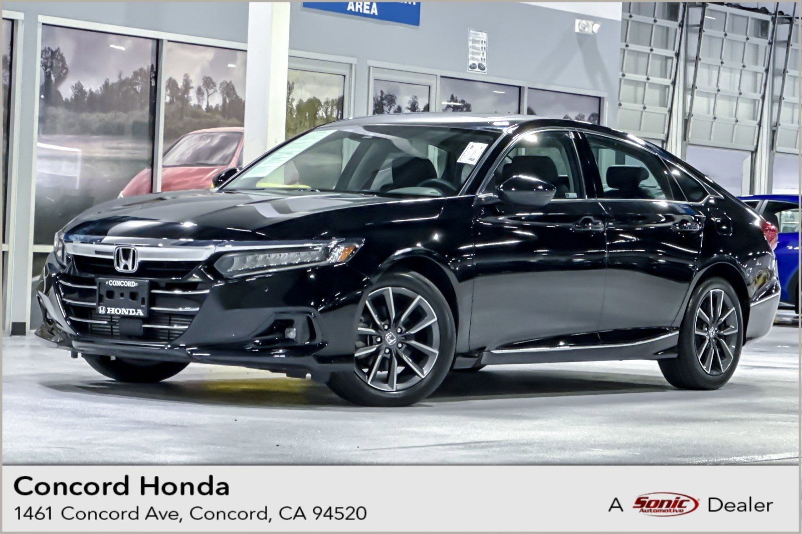2022 Honda Accord 1.5T EX-L CVT's photo
