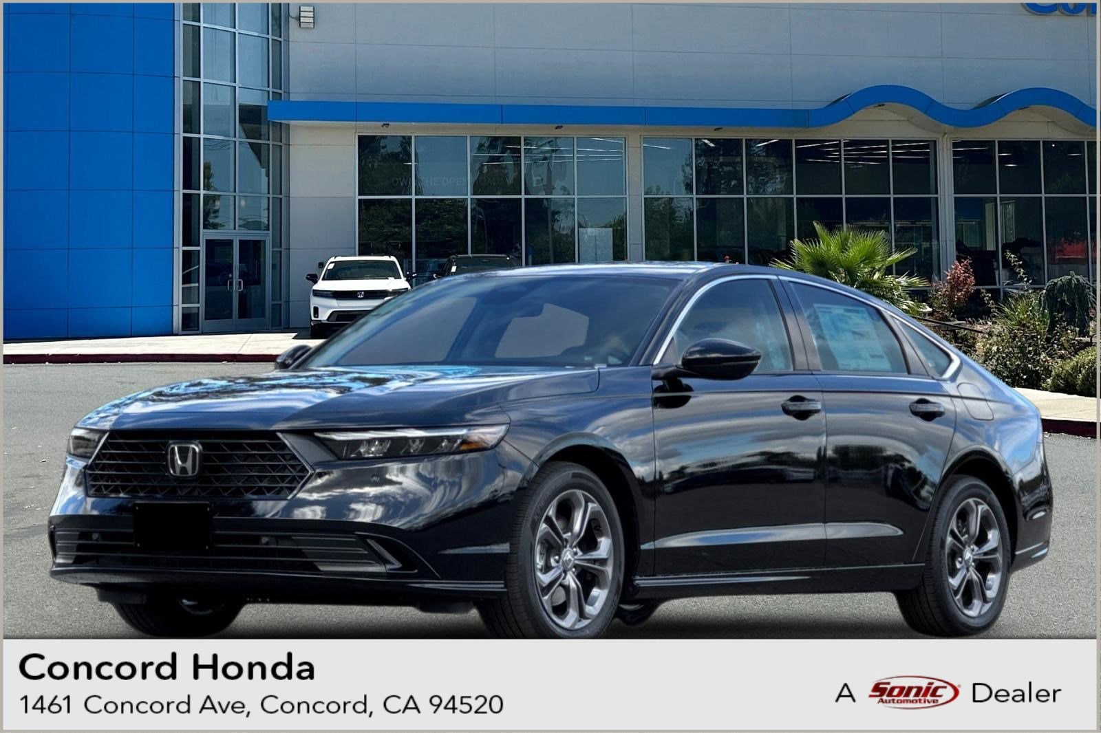 2026 Honda Accord Hybrid EX-L's photo
