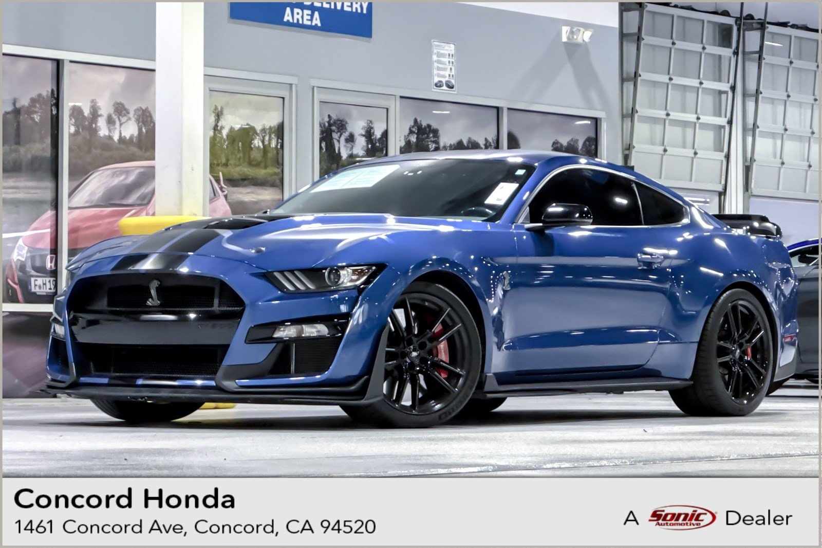 Shelby GT500 Coupe