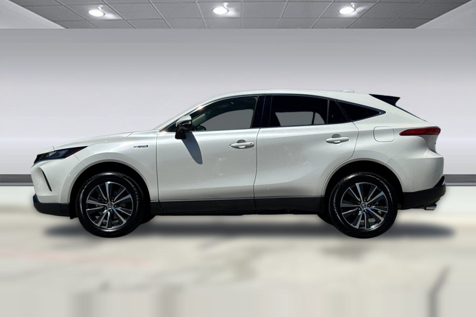 Venza LE SUV