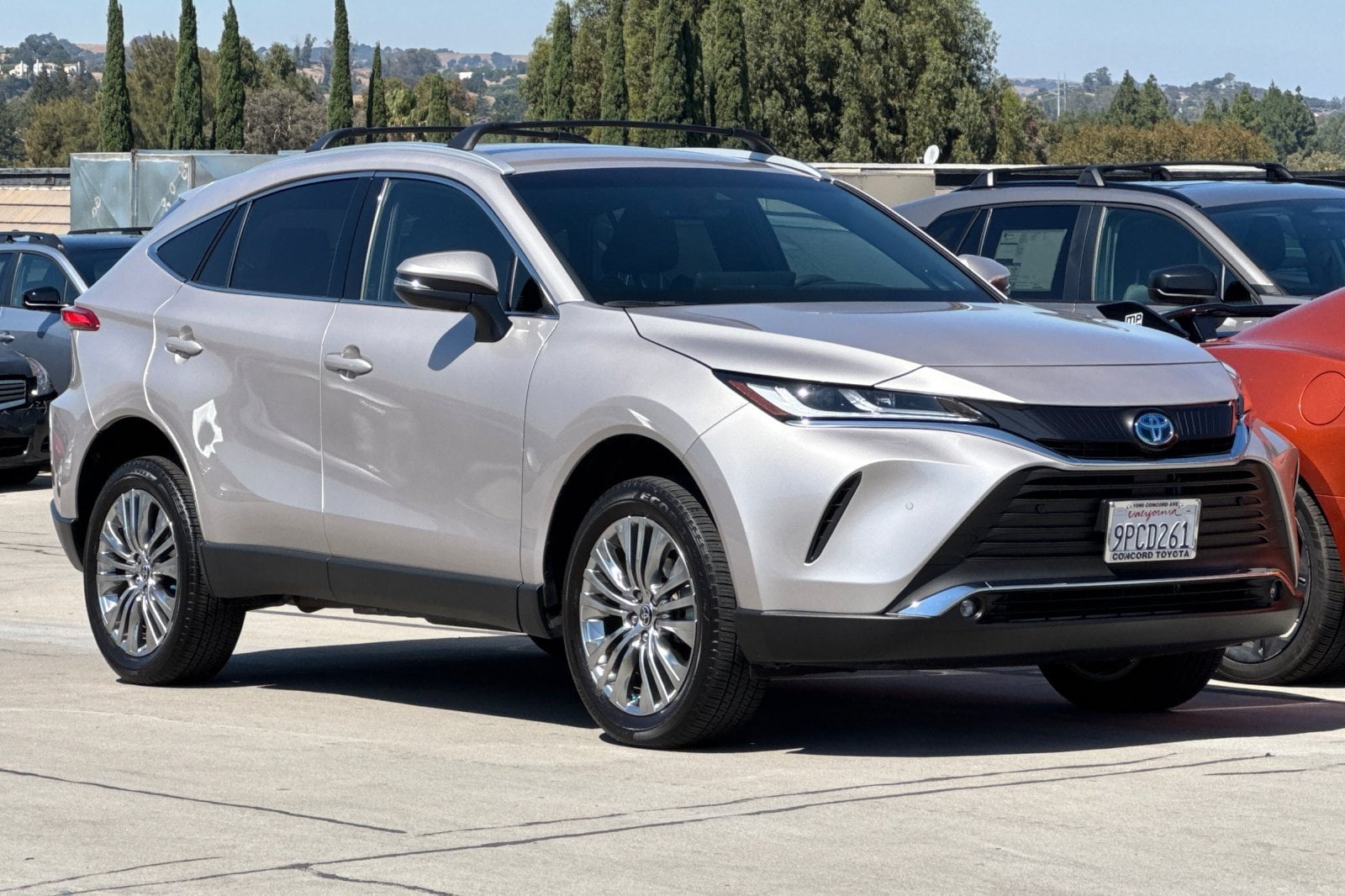 Venza XLE SUV