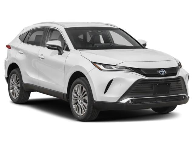 2024 Toyota Venza Limited photo 6