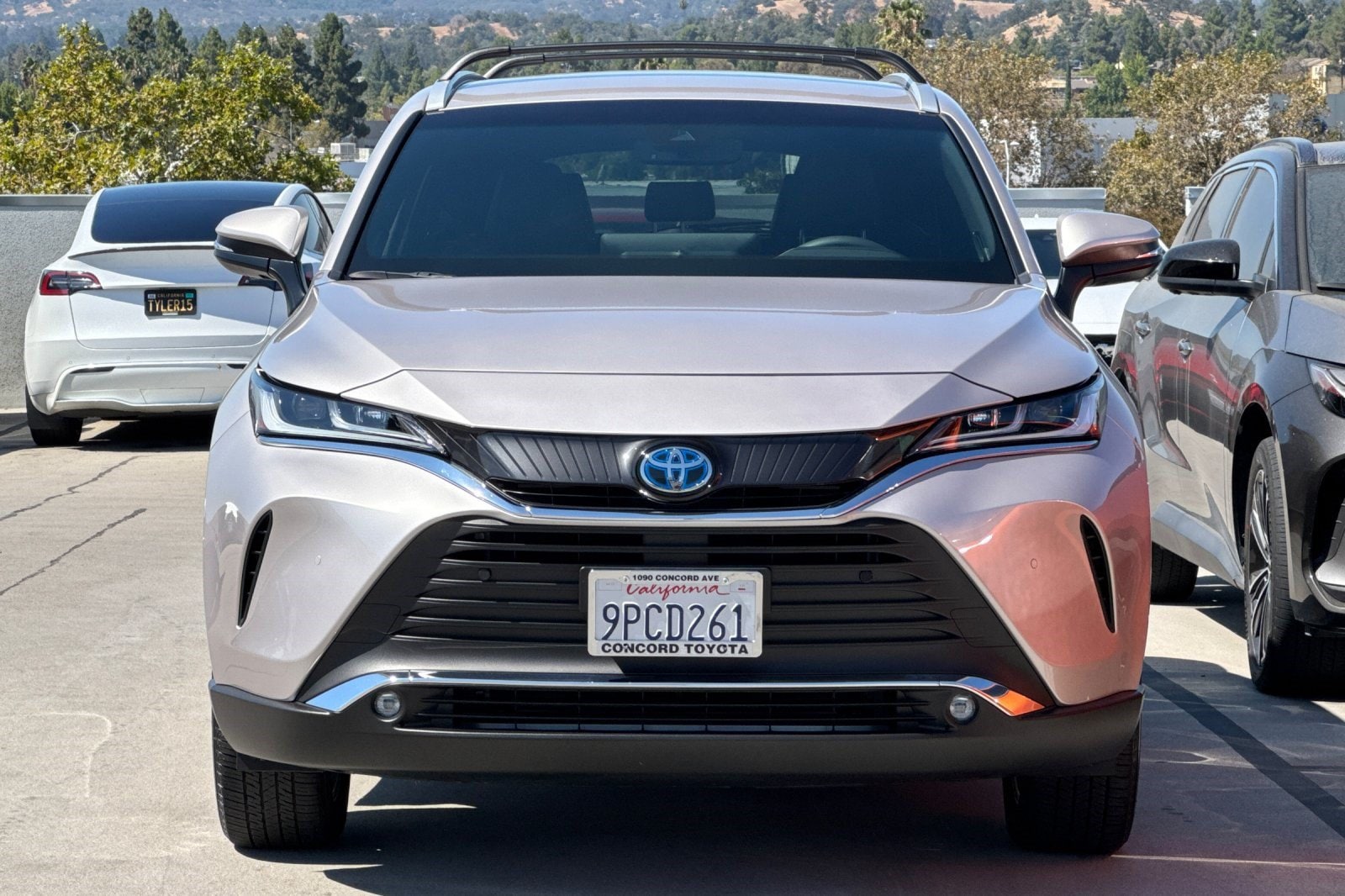 Venza XLE SUV