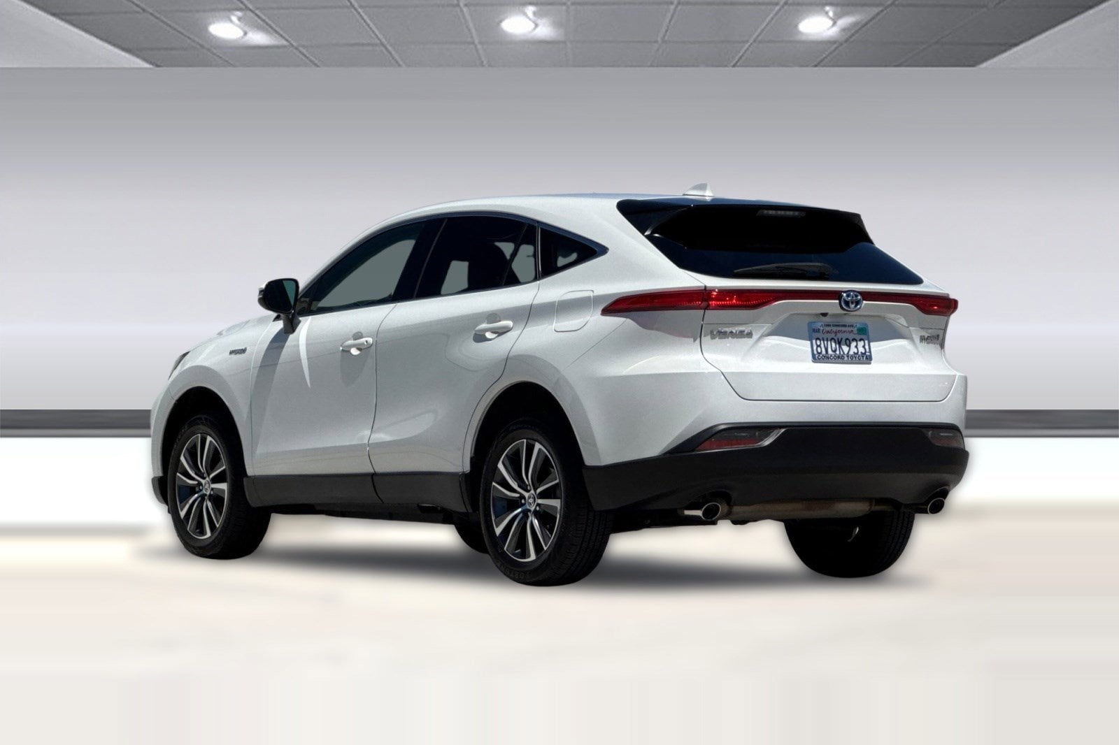 Venza LE SUV