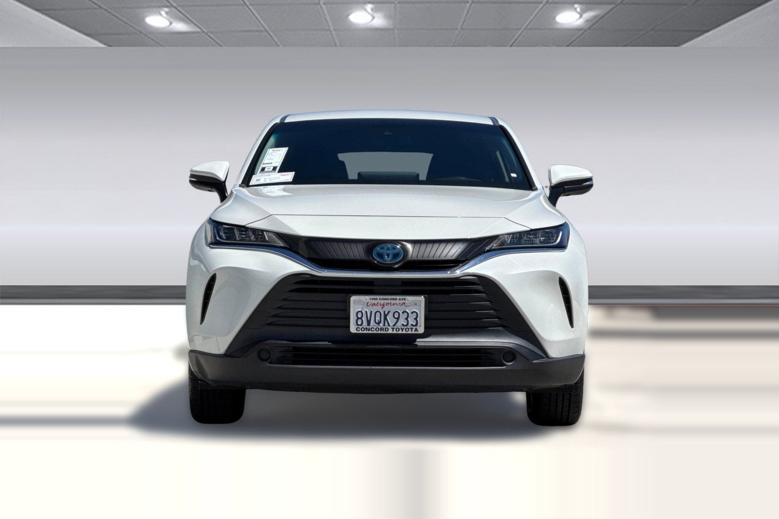 Venza LE SUV