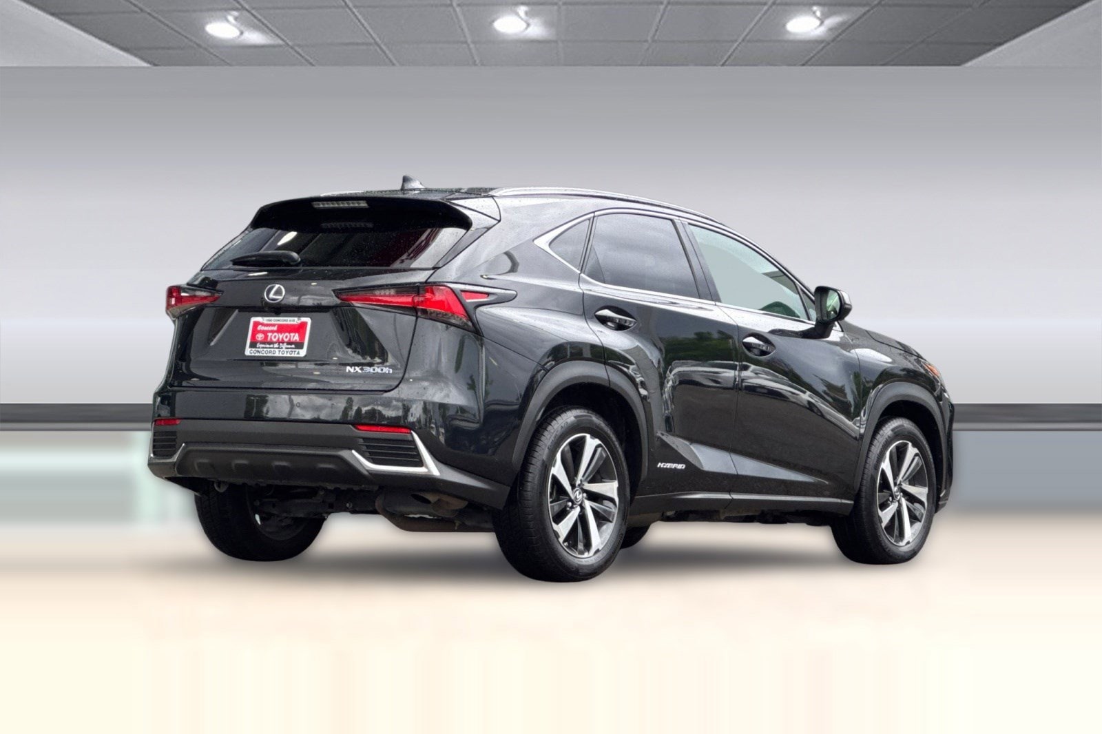 2021 LEXUS NX 300h NX 300h photo 2