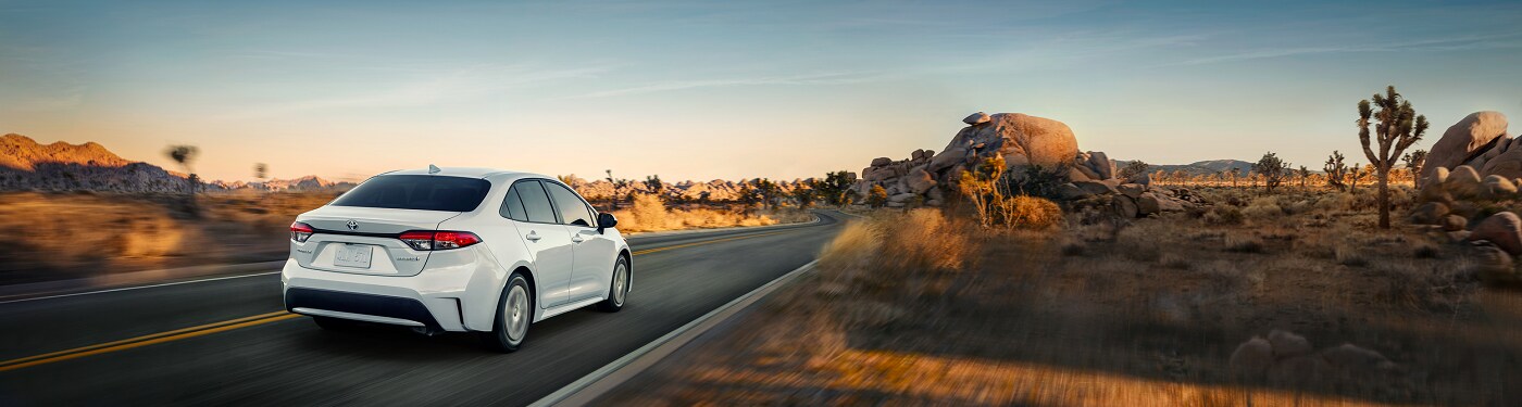 White Toyota Corolla Hybrid LE driving through the desert