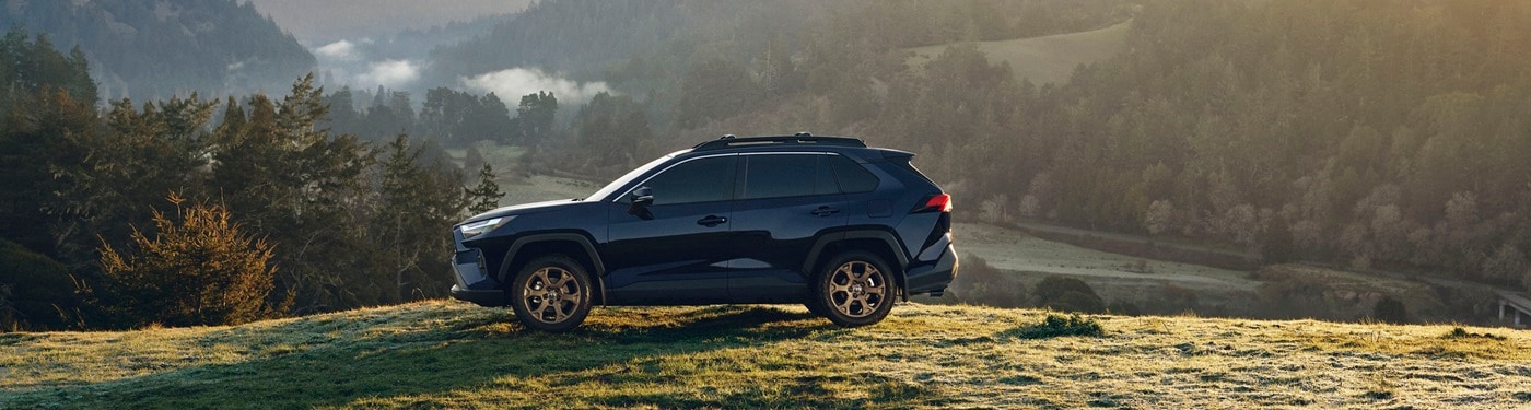 Toyota RAV4 Woodland parked on the top of a grassy hill