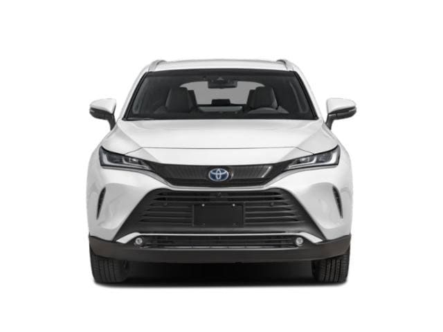2024 Toyota Venza Limited photo 4