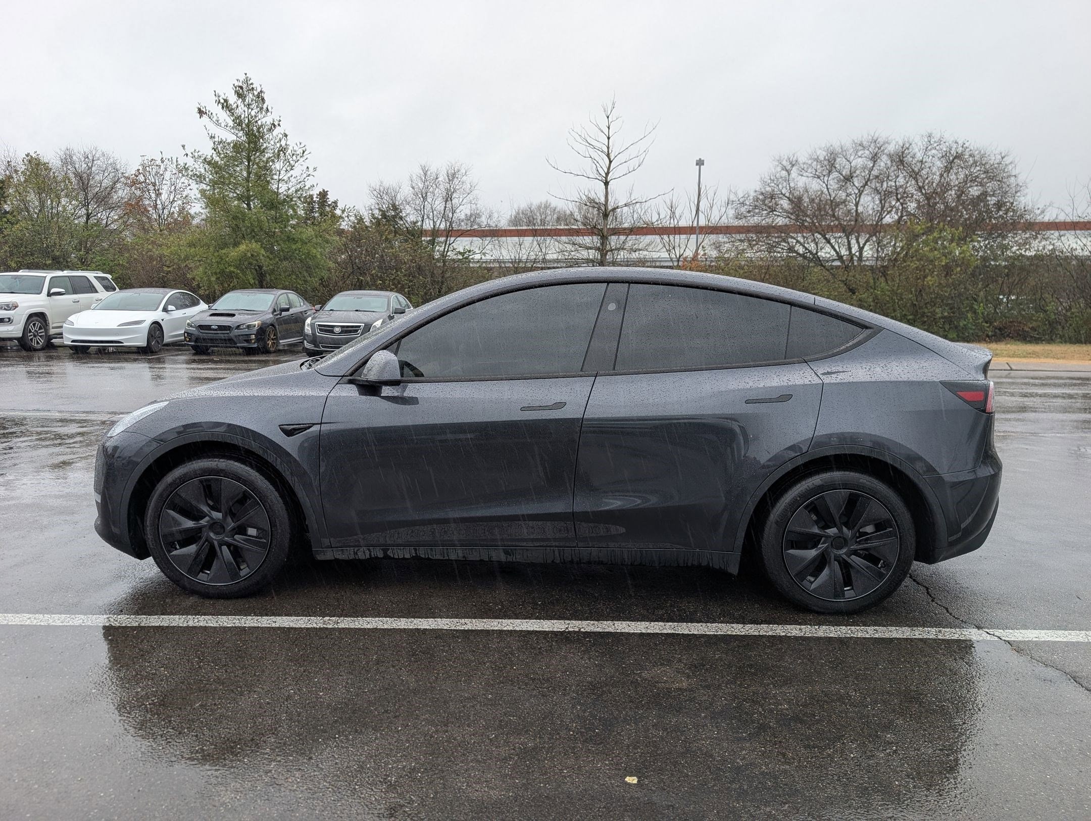 Used 2025 Tesla Model Y Long Range with VIN 7SAYGAEEXSF257425 for sale in Nashville, TN