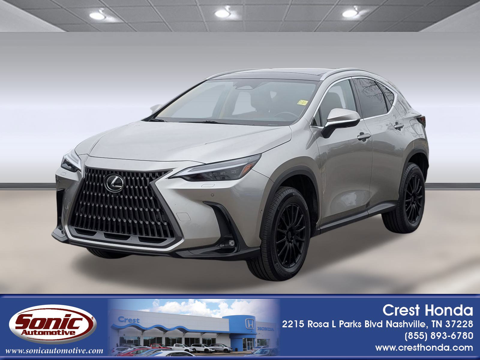 2022 Lexus NX Hybrid 350h's photo