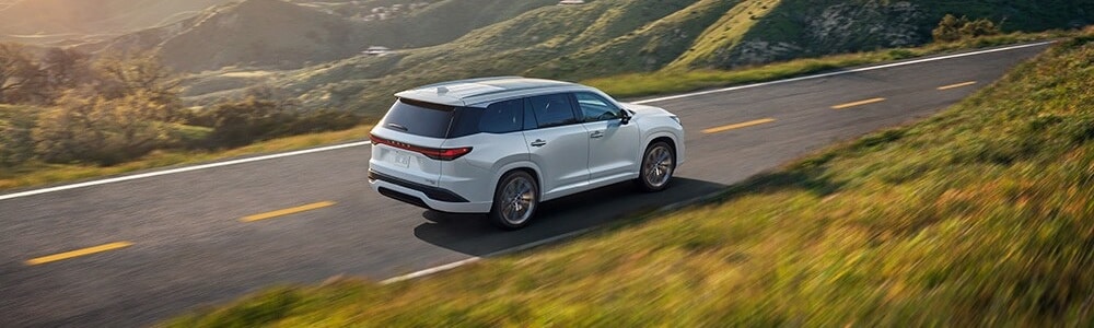 Lexus TX driving on a road in a meadow