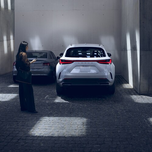 Lexus NX Rear
Exterior