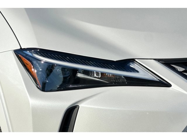 2025 Lexus UX 300h Premium - Photo 10