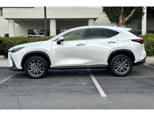 2024 Lexus NX 250 photo 2